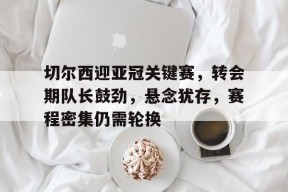 mk体育登录-切尔西足球俱乐部冬窗引员