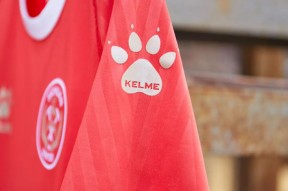 商标并未注册通过的意思