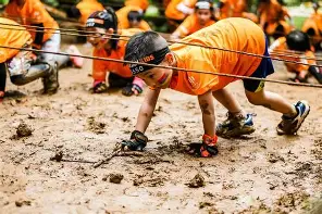引发热议的新闻及评论
